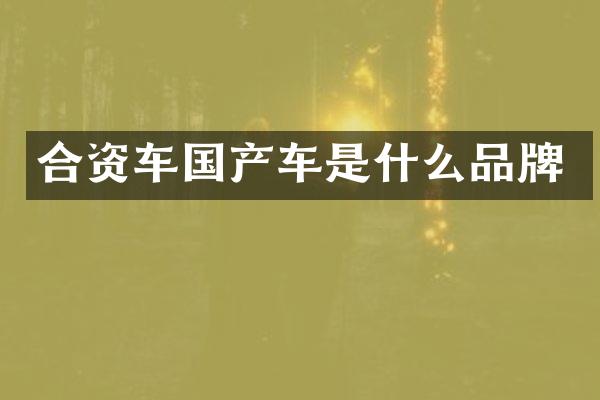 合资车国产车是什么品牌