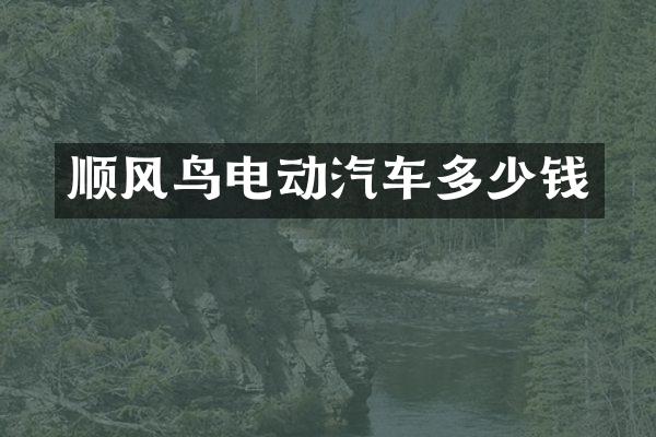 顺风鸟电动汽车多少钱