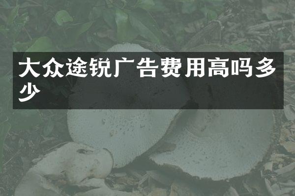 大众途锐广告费用高吗多少