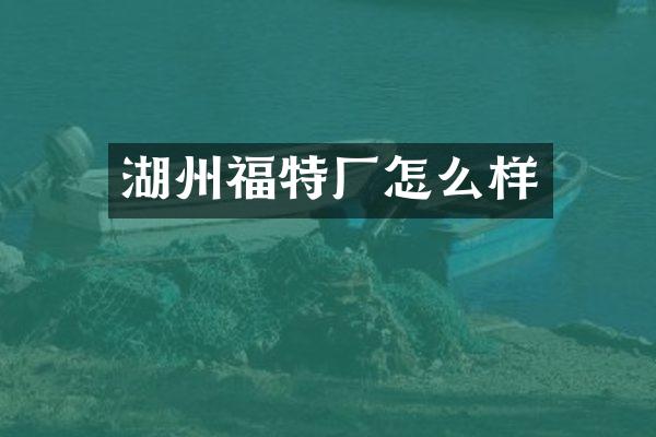 湖州福特厂怎么样