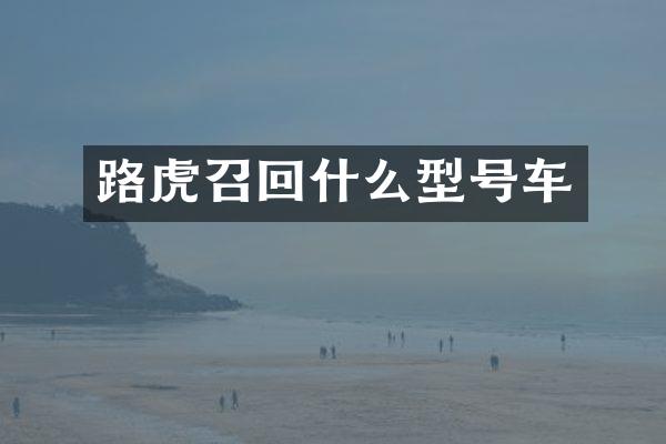 路虎召回什么型号车