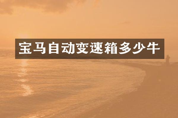 宝马自动变速箱多少牛