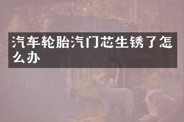 汽车轮胎汽门芯生锈了怎么办
