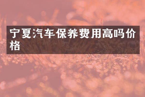宁夏汽车保养费用高吗价格