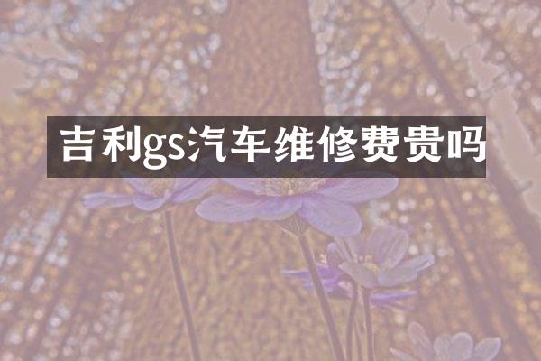 吉利gs汽车维修费贵吗