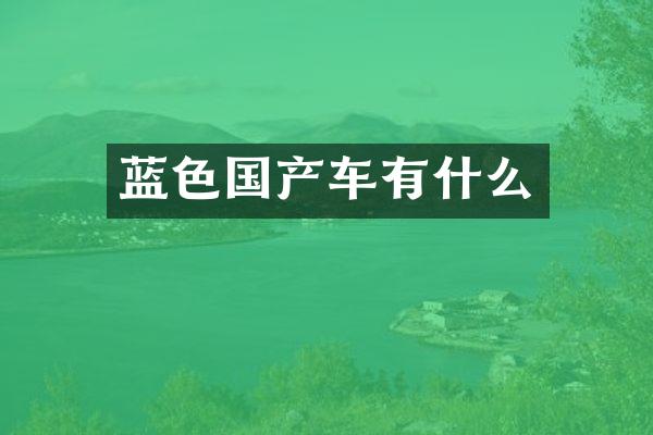蓝色国产车有什么
