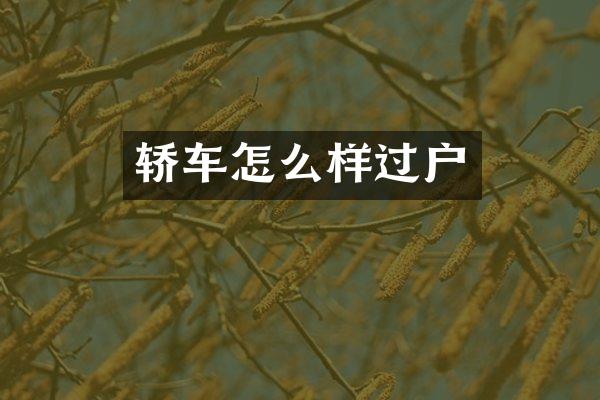 轿车怎么样过户