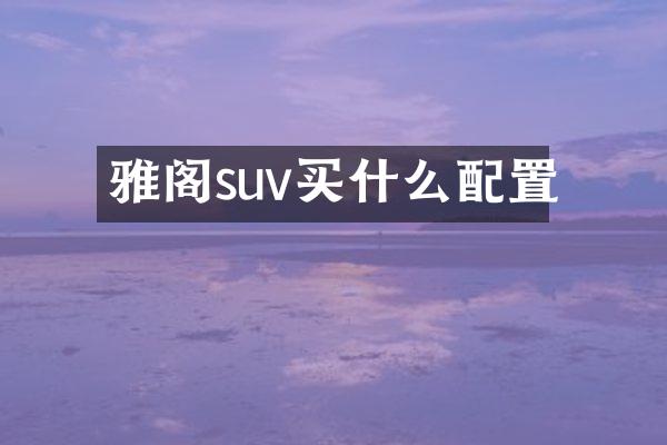 雅阁suv买什么配置