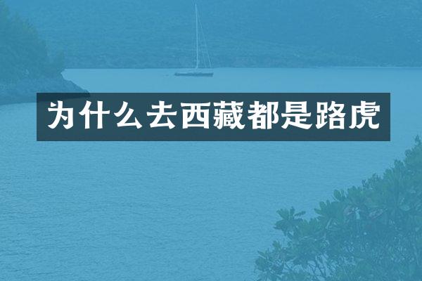 为什么去西藏都是路虎