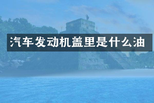 汽车发动机盖里是什么油