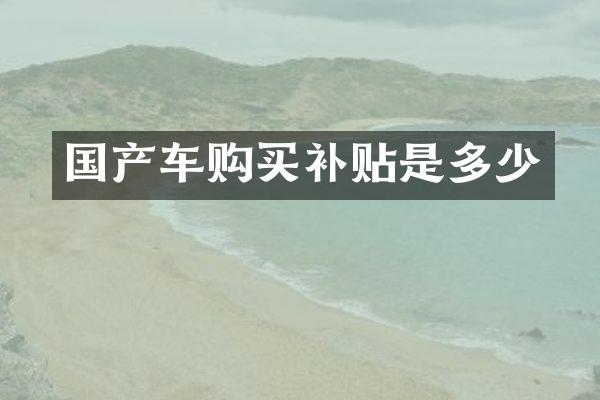 国产车购买补贴是多少