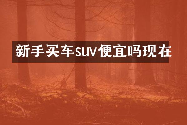 新手买车suv便宜吗现在