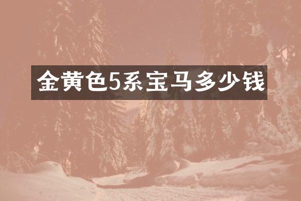 金黄色5系宝马多少钱
