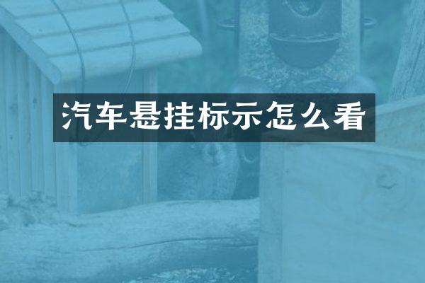 汽车悬挂标示怎么看