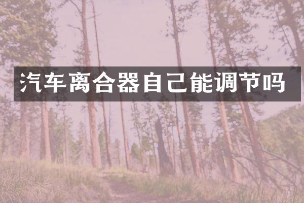 汽车离合器自己能调节吗
