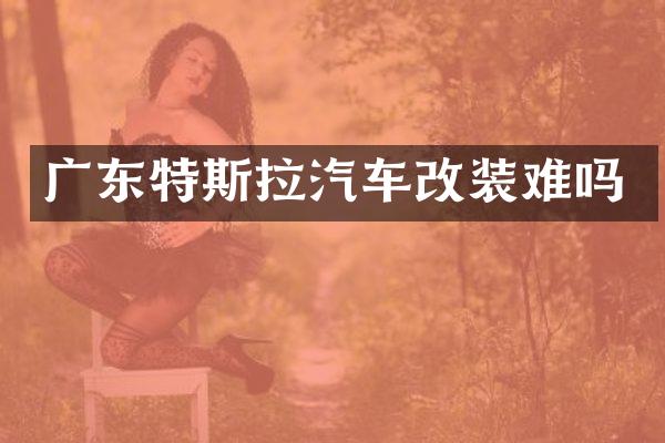 广东特斯拉汽车改装难吗