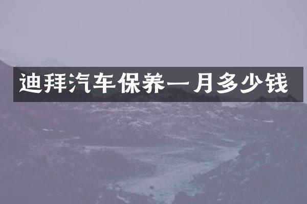 迪拜汽车保养一月多少钱