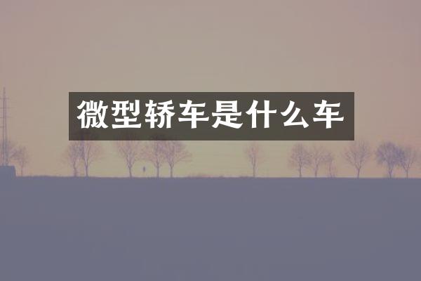 微型轿车是什么车