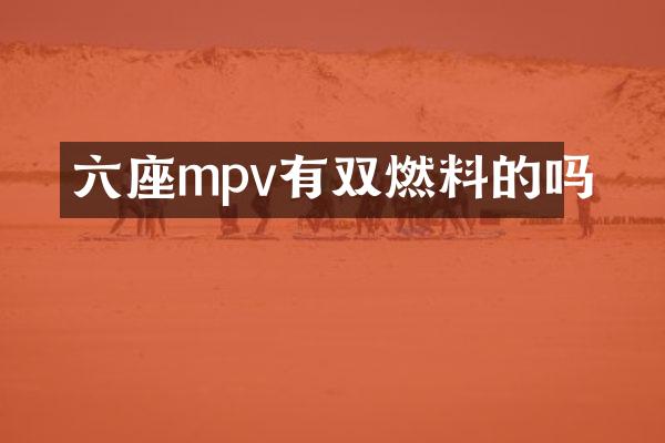 六座mpv有双燃料的吗