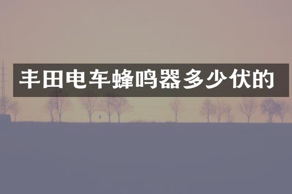 丰田电车蜂鸣器多少伏的