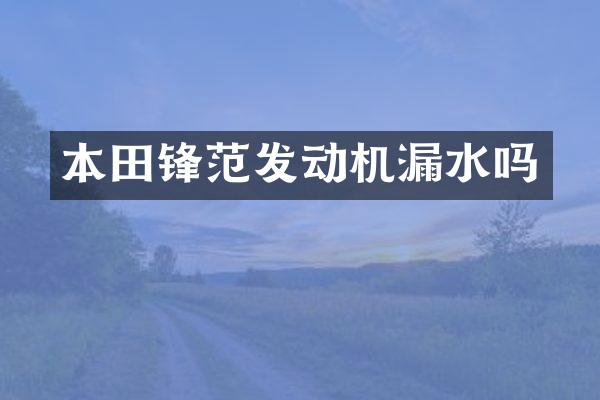 本田锋范发动机漏水吗