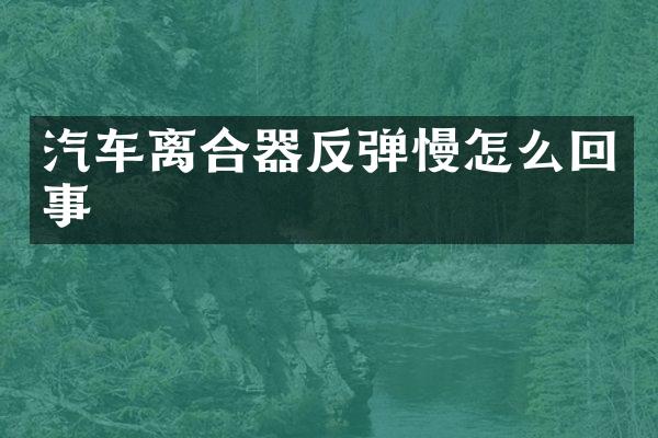汽车离合器反弹慢怎么回事