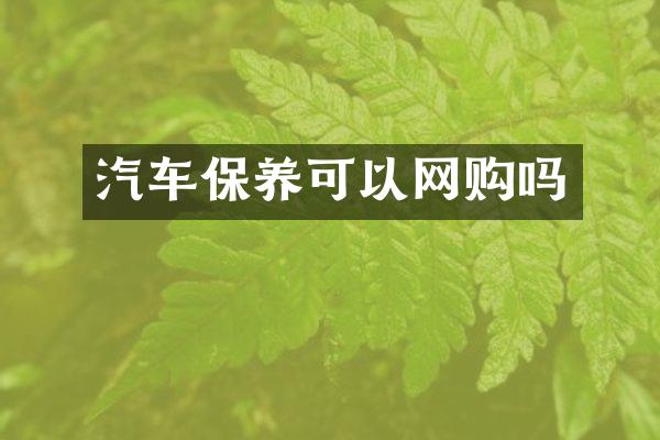 汽车保养可以网购吗