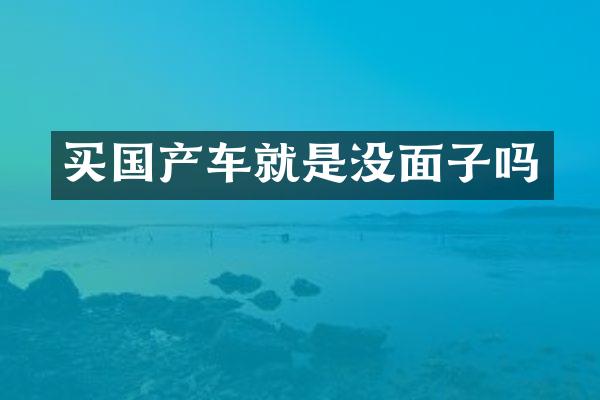 买国产车就是没面子吗