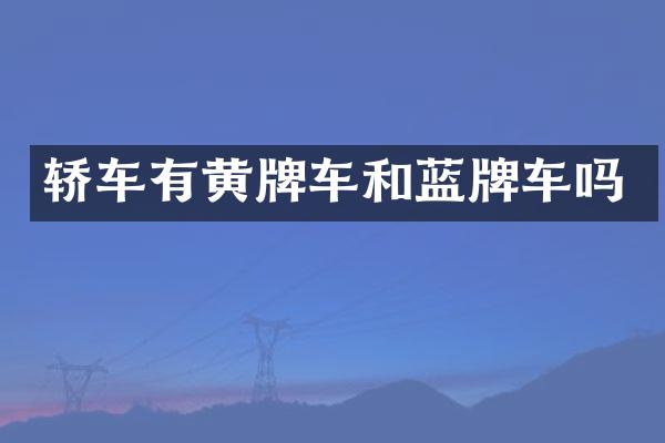 轿车有黄牌车和蓝牌车吗