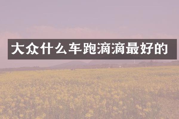 大众什么车跑滴滴最好的