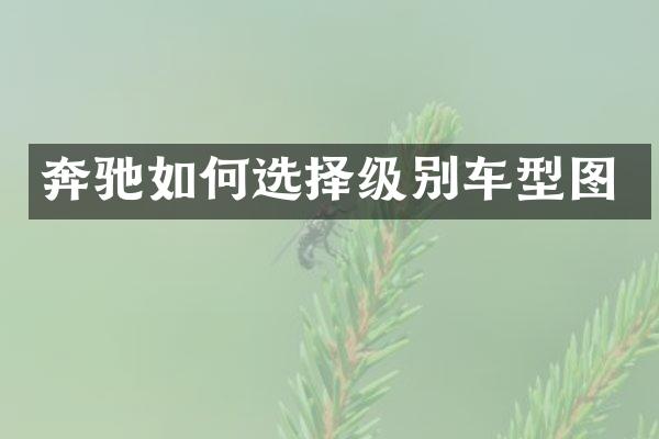 奔驰如何选择级别车型图