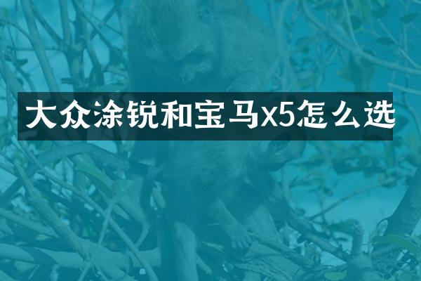 大众涂锐和宝马x5怎么选