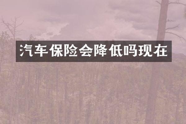 汽车保险会降低吗现在