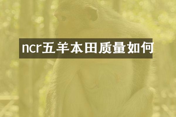 ncr五羊本田质量如何