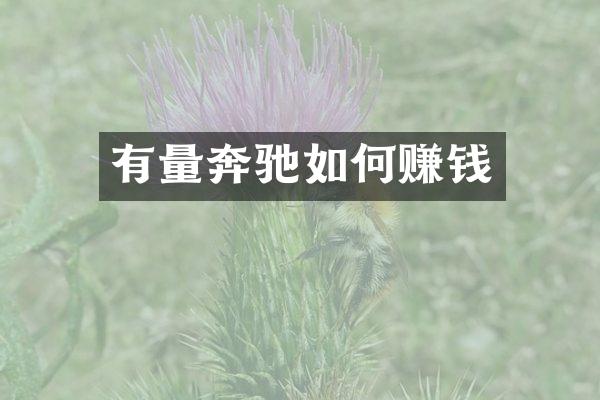 有量奔驰如何赚钱