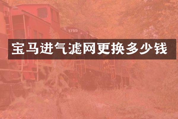 宝马进气滤网更换多少钱