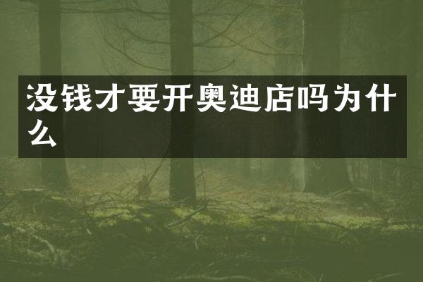 没钱才要开奥迪店吗为什么