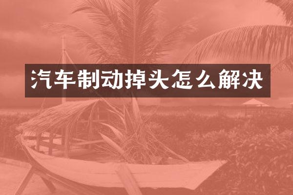 汽车制动掉头怎么解决