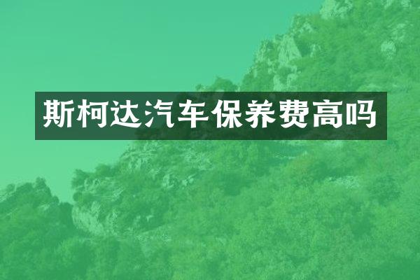 斯柯达汽车保养费高吗