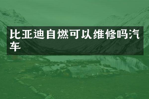 比亚迪自燃可以维修吗汽车