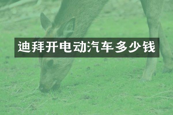 迪拜开电动汽车多少钱