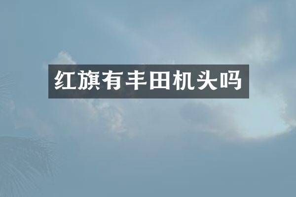 红旗有丰田机头吗