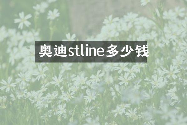 奥迪stline多少钱