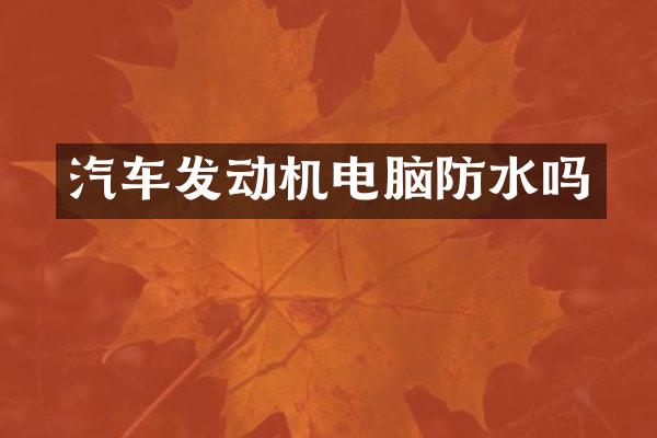 汽车发动机电脑防水吗
