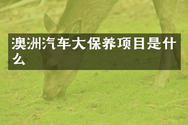 澳洲汽车大保养项目是什么