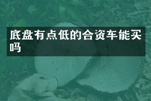 底盘有点低的合资车能买吗