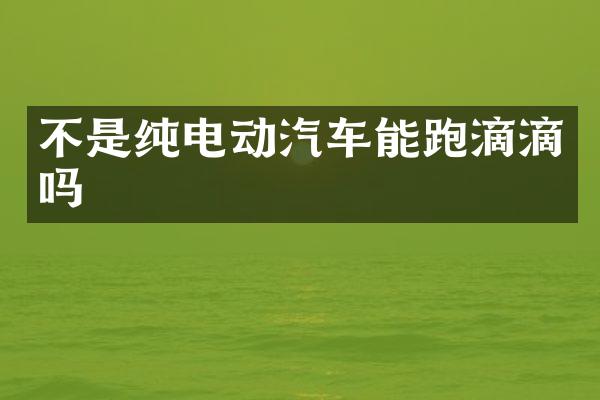 不是纯电动汽车能跑滴滴吗
