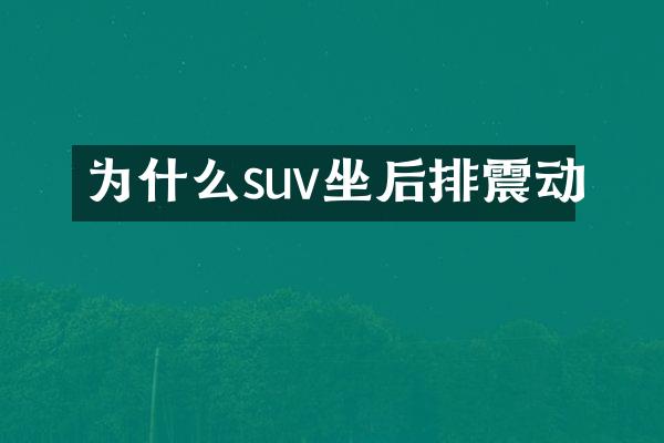 为什么suv坐后排震动