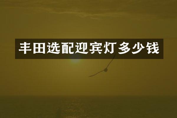 丰田选配迎宾灯多少钱