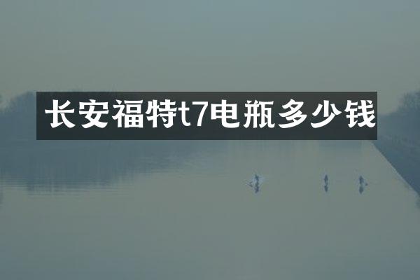 长安福特t7电瓶多少钱
